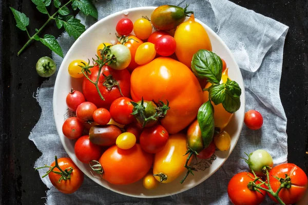 Fresh ripe colorful tomatoes — Stock Photo, Image