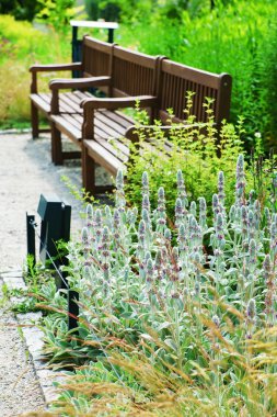 tezgah yaz bahçesinde