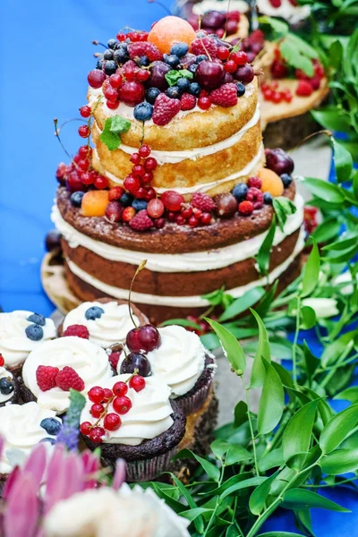 Naked wedding cake and cupcakes with berries — Stock Photo, Image