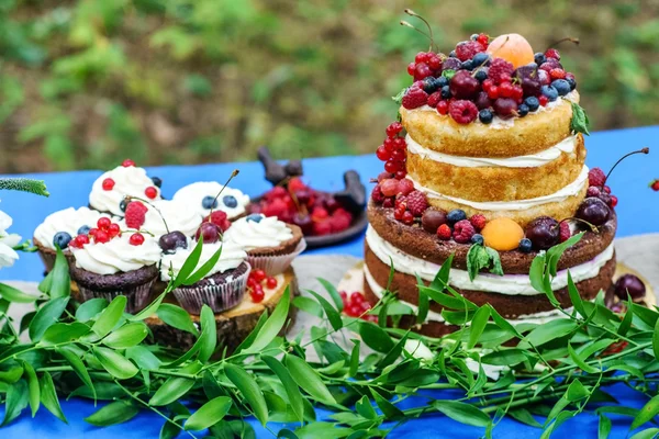 Pastel de boda desnudo y cupcakes con bayas —  Fotos de Stock