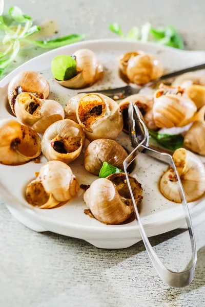 Snails as gourmet appetizers — Stock Photo, Image