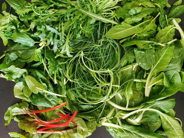 Karışık salata yeşillikleri — Stok fotoğraf