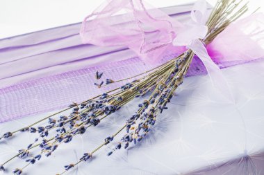 Beyaz üzerinde noel hediyesi