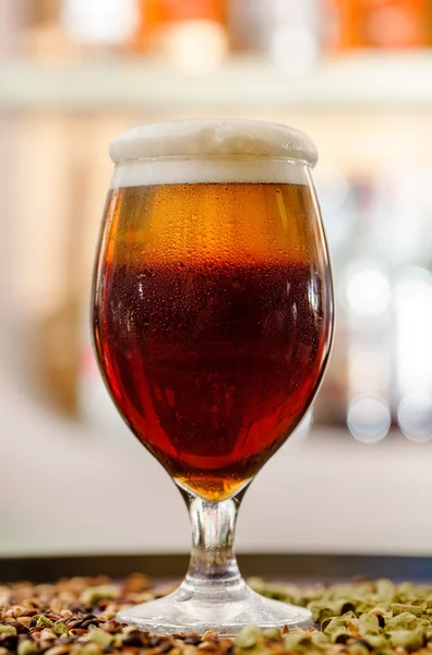 Fresh cold beer in glass — Stock Photo, Image