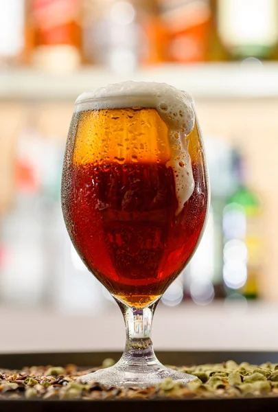 Verse koud biertje in glas — Stockfoto