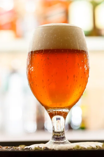 Čerstvé vychlazené pivo ve skle — Stock fotografie