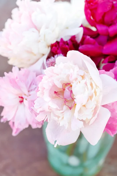 Peônias frescas brancas e rosa — Fotografia de Stock