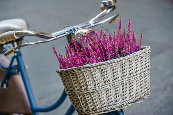 Bicicletta con fiori sullo sfondo — Foto Stock