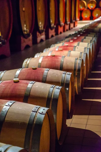 Barricas de vino en bodega — Foto de Stock