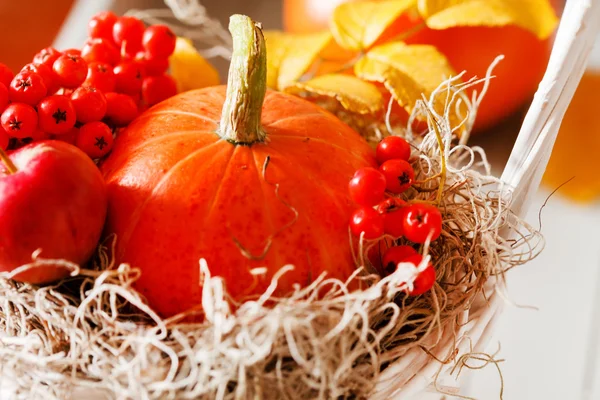 Decorações de outono com abóbora — Fotografia de Stock