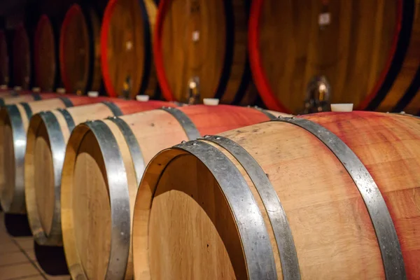 Barricas de vino en bodega — Foto de Stock