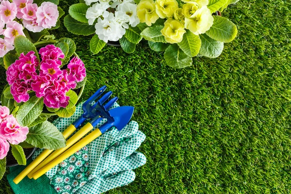 Equipment with spring flowers — Stock Photo, Image