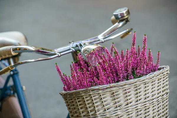 Vélo avec des fleurs sur le fond — Photo