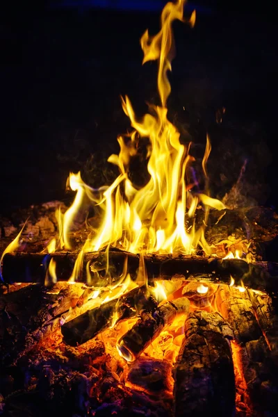 Burning fire in the night — Stock Photo, Image