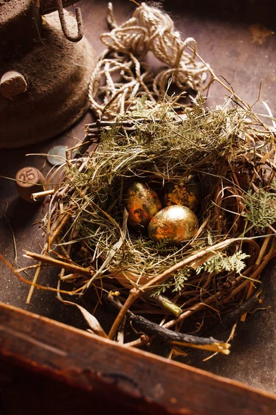 Golden eggs in the nest — Stock Photo, Image