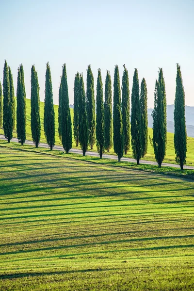 Paisagem rural da Toscana — Fotografia de Stock