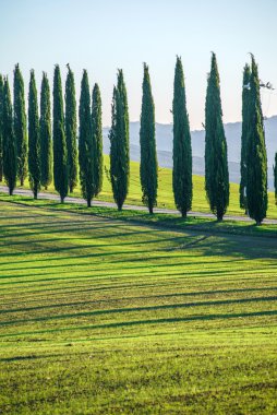 Tuscany kırsal manzara