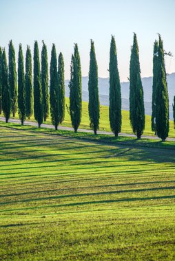 Tuscany countryside landscape clipart