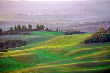 Tuscany kırsal manzara