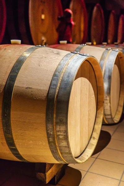 Wine barrels in cellar — Stock Photo, Image