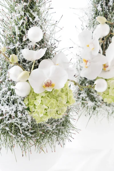 Blumenschmuck zu Weihnachten — Stockfoto