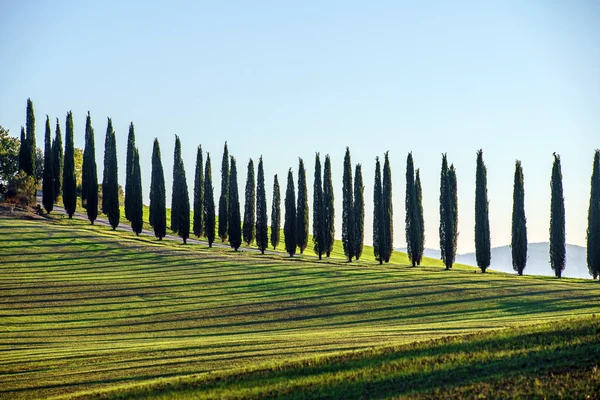 Tuscany platteland landschap — Stockfoto