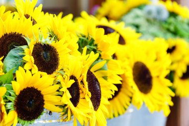 Güzel bahar çiçekleri