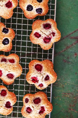 Berry yatırımcı kek