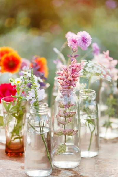 Bei fiori in bottiglia — Foto Stock