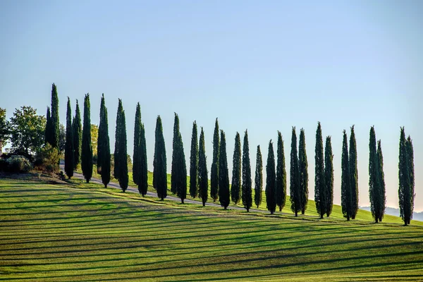 Краєвид сільській місцевості Тоскани — стокове фото