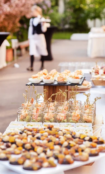 Makanan pembuka pada canapes — Stok Foto