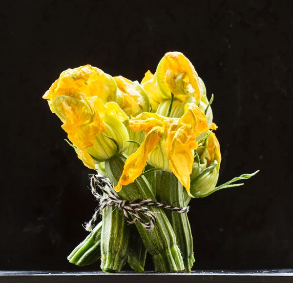 Verse courgette bloemen — Stockfoto