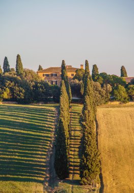 tipik Toskana peyzaj