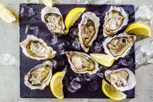 Ostras abiertas con limones — Foto de Stock