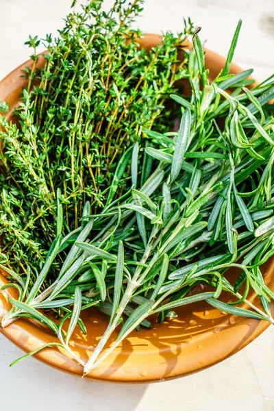 Fresh green herbs — Stock Photo, Image