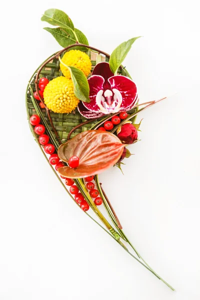 Groom's boutonniere on white — Stock Photo, Image