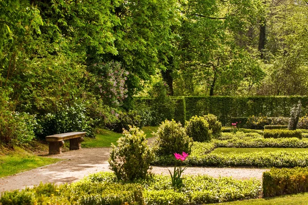 Spring green garden — Stock Photo, Image