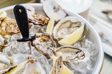 Tabakta taze istiridye