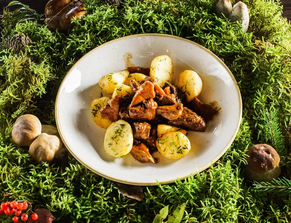 Smakelijke elanden vlees met aardappelen — Stockfoto