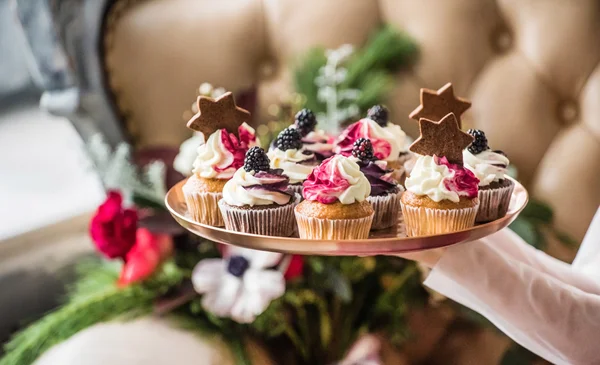 Woman holding cupcakes — Stock Photo, Image