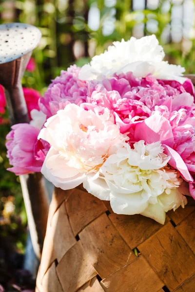 Mooie lentebloemen — Stockfoto