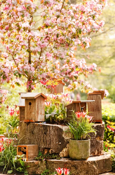 Jardín de flores de primavera —  Fotos de Stock