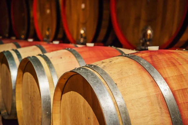 Barricas de vino en bodega — Foto de Stock