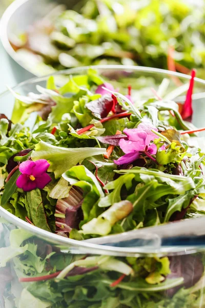 Salade fraîche sur assiette blanche — Photo