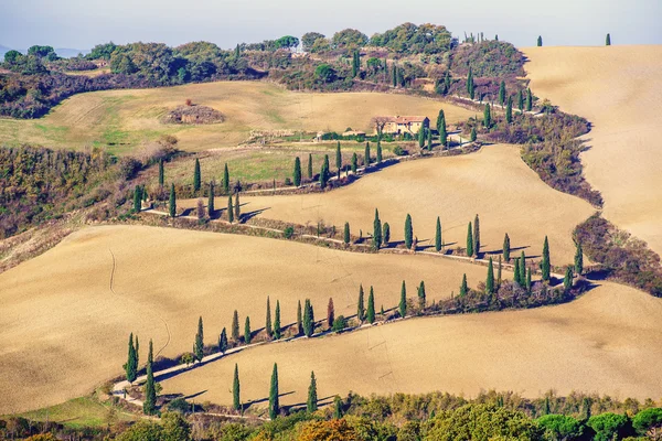 Tuscany panoramautsikt över landskapet — Stockfoto