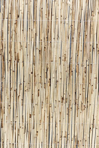 Fundo de bambu abstrato — Fotografia de Stock