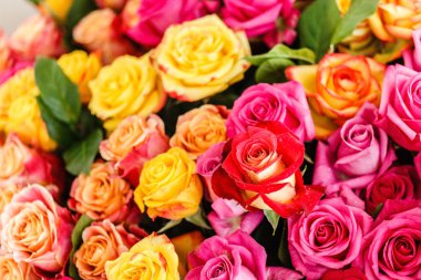 Renkli güzel gül buketi