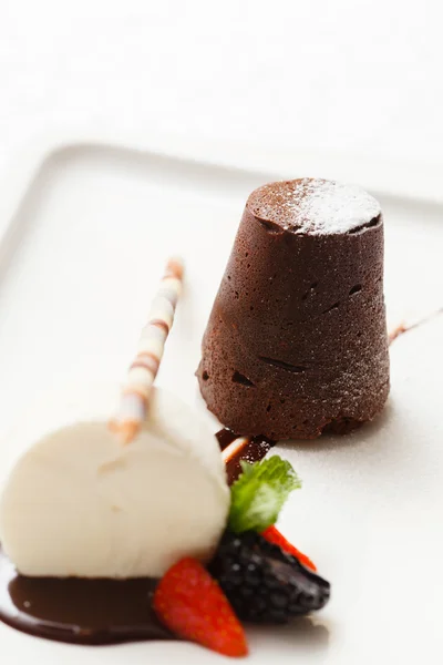 Torta al cioccolato con gelato — Foto Stock