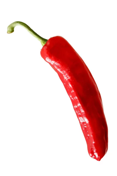 Hot pepper on white — Stock Photo, Image
