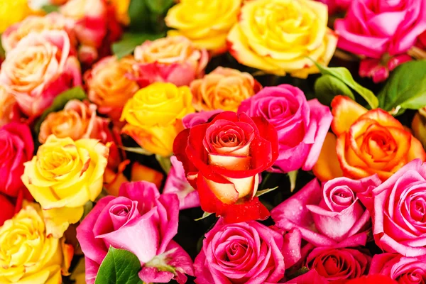 Bouquet of colorful nice roses — Stock Photo, Image